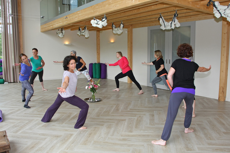 starten met yoga? Zen Natuurlijk heeft verschillende vormen zoals yin yoga en hatha yoga